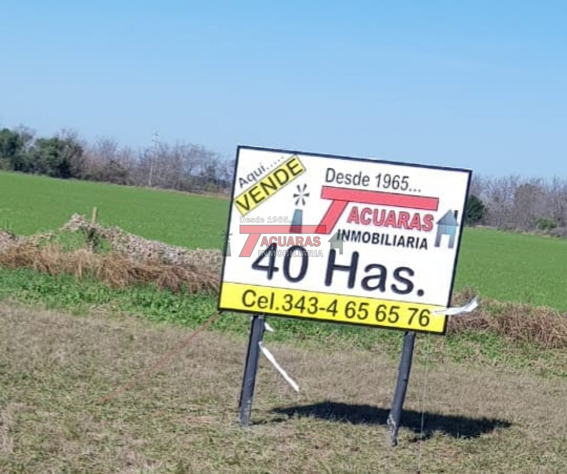 40 HAS. DE CHACRA SOBRE RUTA.