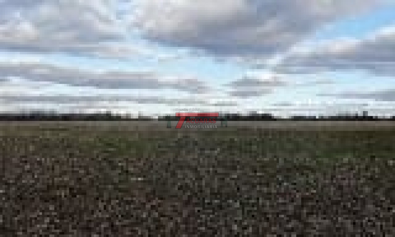 40 HAS. DE CHACRA SOBRE RUTA.