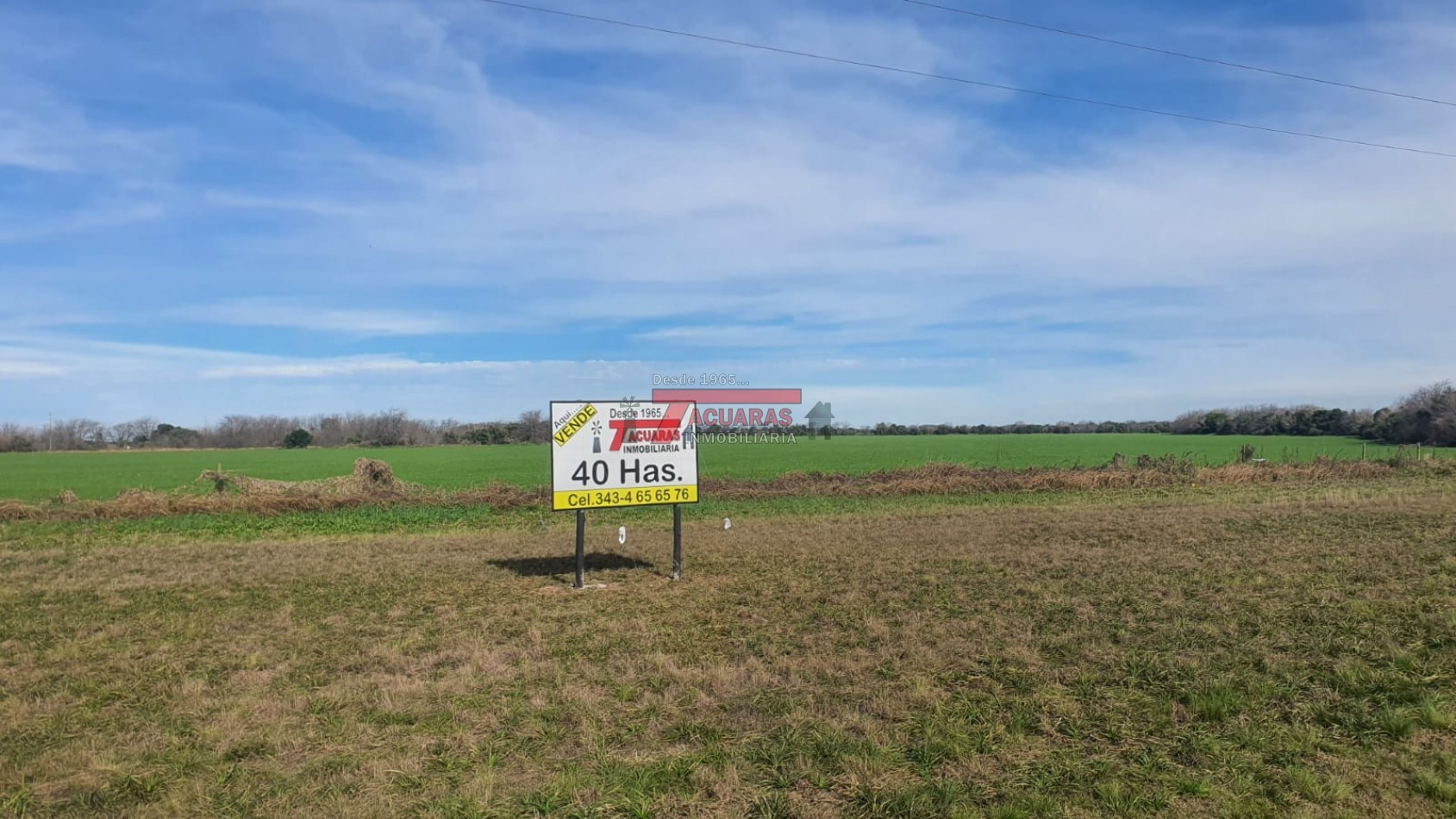 40 HAS. DE CHACRA SOBRE RUTA.