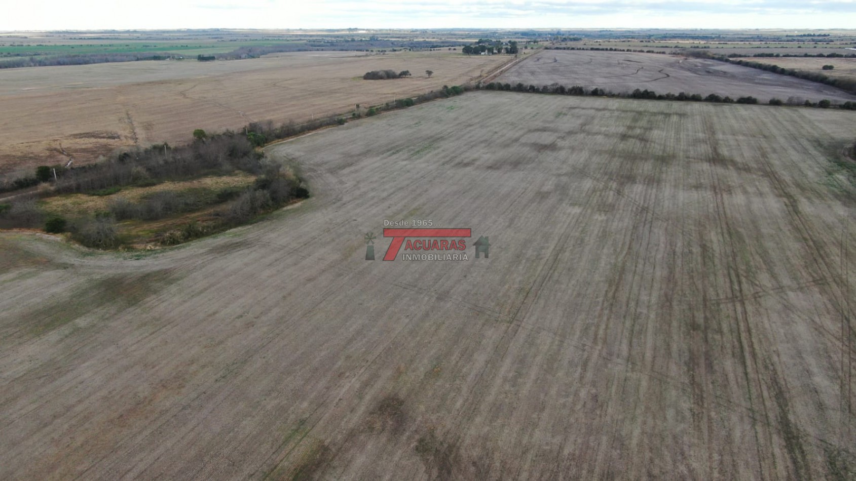 40 HAS. DE CHACRA SOBRE RUTA.