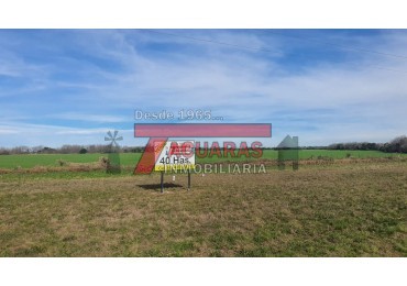 40 HAS. DE CHACRA SOBRE RUTA.